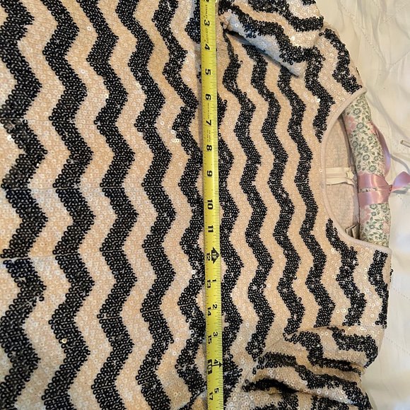 JCrew sequin striped mini dress - Picture 8 of 12